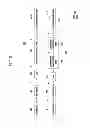 Fig. 08 - Laser processing apparatus