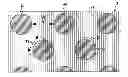 Fig. 01 - Film and method for producing same