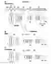 Fig. 01 - Variable magnification optical system and imaging apparatus