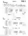 Fig. 02 - Variable magnification optical system and imaging apparatus