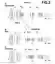 Fig. 03 - Variable magnification optical system and imaging apparatus
