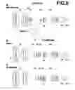 Fig. 07 - Variable magnification optical system and imaging apparatus