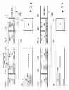 Fig. 04 - Disk storage apparatus and method for shingled magnetic recording