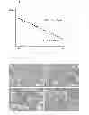 Fig. 02 - Dielectric composition, and multilayered ceramic capacitor including the same as dielectric layer