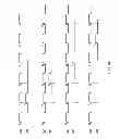 Fig. 13 - Method and apparatus for aligning a clock signal and a data strobe signal in a memory system
