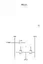 Fig. 06 - Data input/output circuit and semiconductor memory device including the same