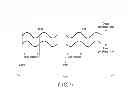 Fig. 71 - INFORMATION STORAGE MEDIUM, REPRODUCING METHOD, AND RECORDING METHOD