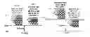 Fig. 01 - Information storage medium, reproducing method, and recording method