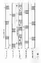 Fig. 74 - INFORMATION STORAGE MEDIUM, REPRODUCING METHOD, AND RECORDING METHOD