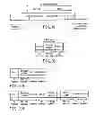 Fig. 87 - INFORMATION STORAGE MEDIUM, REPRODUCING METHOD, AND RECORDING METHOD
