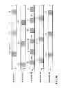 Fig. 74 - INFORMATION STORAGE MEDIUM, REPRODUCING METHOD, AND RECORDING METHOD