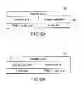 Fig. 76 - INFORMATION STORAGE MEDIUM, REPRODUCING METHOD, AND RECORDING METHOD