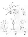 Fig. 25 - Information storage medium, reproducing method, and recording method