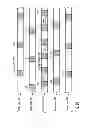 Fig. 74 - Information storage medium, reproducing method, and recording method