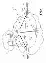 Fig. 02 - Service level mirroring in ethernet network