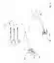 Fig. 05 - Determining the availability of participants on an electronic call