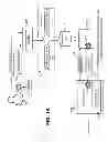 Fig. 02 - User authorization of implicit registration of multiple identities