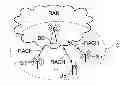 Fig. 01 - MACHINE TYPE COMMUNICATIONS IN A RADIO NETWORK