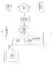 Fig. 02 - Neighbor List Provision in a Communication Network