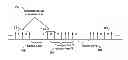 Fig. 01 - Control and data channel radio resource configuration