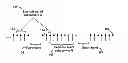 Fig. 01 - Channel configuration in a wireless network