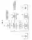 Fig. 18 - Precoding apparatus, program for precoding, and integrated circuit