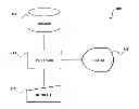 Fig. 01 - System and method for securing scalar multiplication against differential power attacks