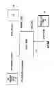 Fig. 23 - Downloadable security and protection methods and apparatus