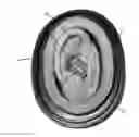 Fig. 01 - Wireless communications headset system employing a loop transmitter that fits around the pinna