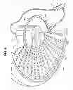 Fig. 10 - Audio equipped fan