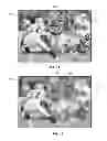 Fig. 02 - Methods and systems for customizing a plenoptic media asset
