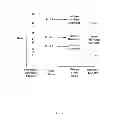 Fig. 22 - Method and system for video-based road characterization, lane detection and departure prevention