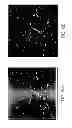 Fig. 28 - Methods and apparati for nondestructive detection of undissolved particles in a fluid