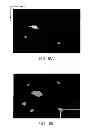 Fig. 31 - Methods and apparati for nondestructive detection of undissolved particles in a fluid