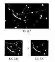 Fig. 35 - Methods and apparati for nondestructive detection of undissolved particles in a fluid