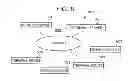 Fig. 10 - Color name determination device, color name determination method, information recording medium, and program