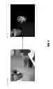 Fig. 05 - System and method for adaptive skin tone detection