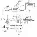 Fig. 06 - Signal to noise improvement