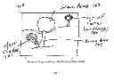Fig. 08 - Signal to noise improvement