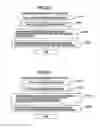 Fig. 09 - Image processing device and medium storing image processing program