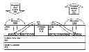 Fig. 01 - Optical photonic circuit coupling