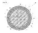 Fig. 08 - MULTICORE FIBER FOR COMMUNICATION