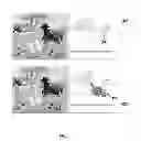 Fig. 05 - COMMUNICATING WITH DIGITAL MEDIA INTERACTION BUNDLES