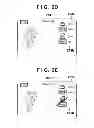 Fig. 04 - Recording apparatus and control method thereof
