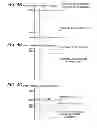 Fig. 05 - Image forming apparatus with control of developing bias and charging bias