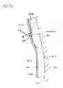 Fig. 25 - Developing device, process cartridge and image forming apparatus