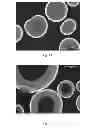 Fig. 02 - Hollow microsphere catalyst support and methods of making same