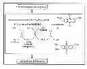Fig. 01 - PROCESS FOR DESULPHURIZATION OF GASES