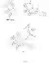 Fig. 02 - METHODS FOR IMAGING BONE PRECURSOR CELLS USING DUAL-LABELED IMAGING AGENTS TO DETECT MMP-9 POSITIVE CELLS