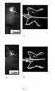 Fig. 07 - METHODS FOR IMAGING BONE PRECURSOR CELLS USING DUAL-LABELED IMAGING AGENTS TO DETECT MMP-9 POSITIVE CELLS